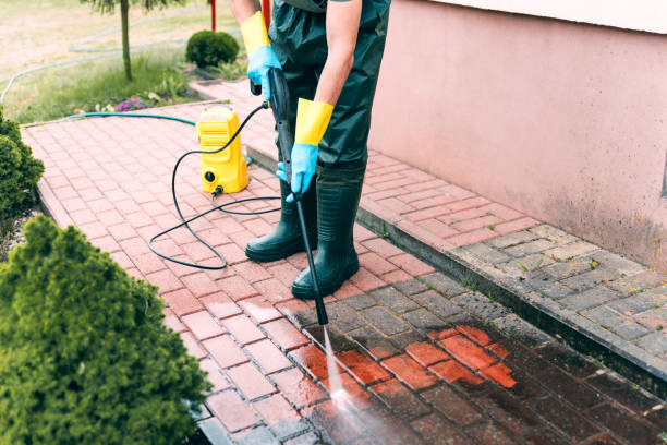 Best Affordable Pressure Washing  in Chinook, MT